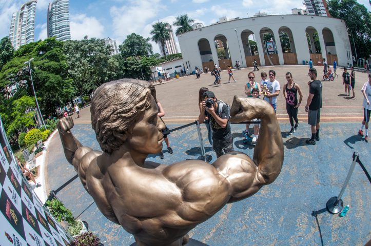 Foto com estátua de Schwarzenegger