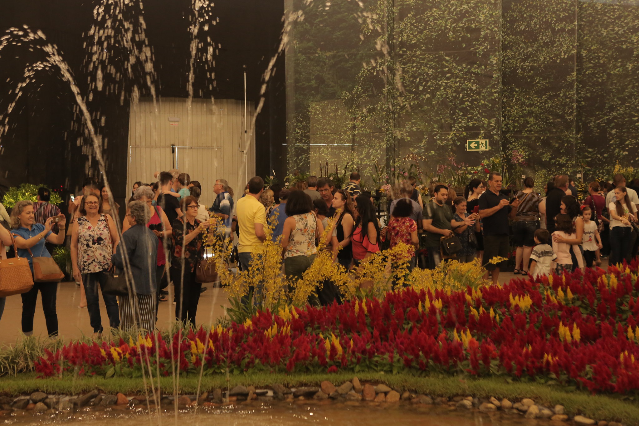 81ª Festa das Flores de Joinville conecta natureza e qualidade de vida