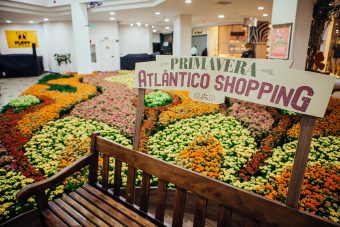 Atlântico Shopping fará distribuição gratuita
