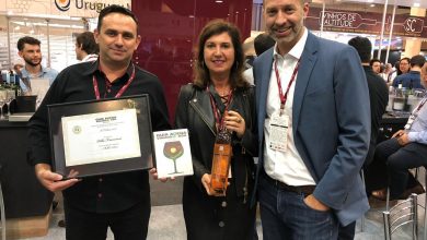 O VF Rosé 2018, produzido pela Villa Francioni, de São Joaquim, recebeu o prêmio de Melhor Rosé do país do Guia ADEGA Vinhos do Brasil 2019/2020