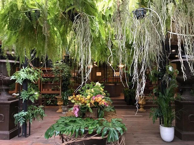 Mamma Mia com presentes exclusivos para o Natal Mamma Mia com presentes exclusivos para o Natal