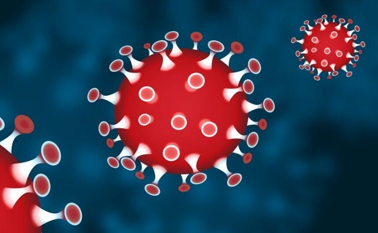 coronavirus, foto divulgação, uiara zagolinC